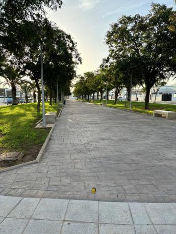 Casa independiente en calle Sociedad Agraria 1972, 16