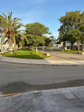 Casa independiente en calle Sociedad Agraria 1972, 16
