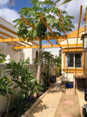 Casa independiente en calle Bambú, 59