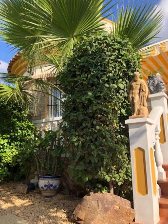 Casa independiente en calle Bambú, 59