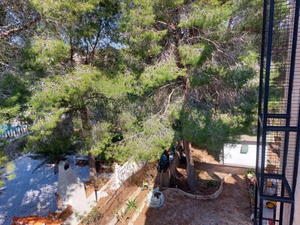 Casa independiente en calle Abedul, 21