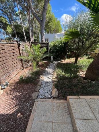 Casa independiente en calle Eucalipto, 11