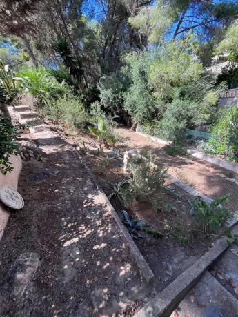 Casa independiente en calle Eucalipto, 11