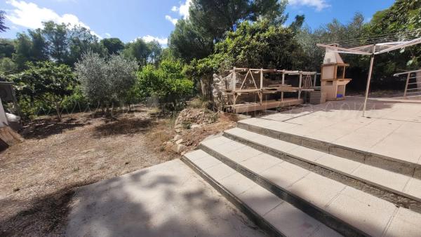 Casa independiente en CL Acacia p C