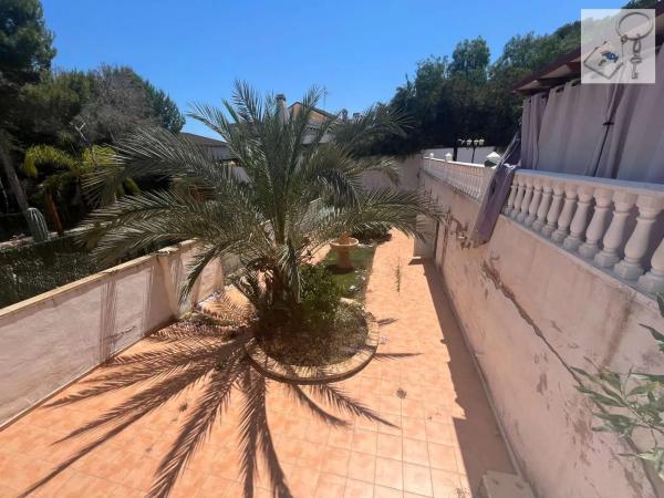 Casa independiente en calle Abeto p C