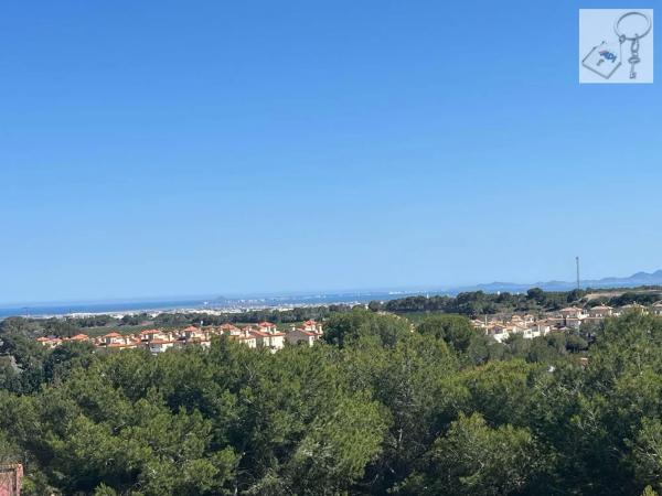 Casa independiente en calle Abeto p C