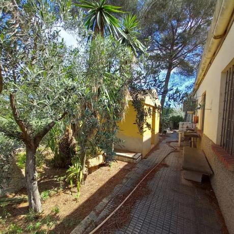 Finca rústica en Diseminado Poligono 16