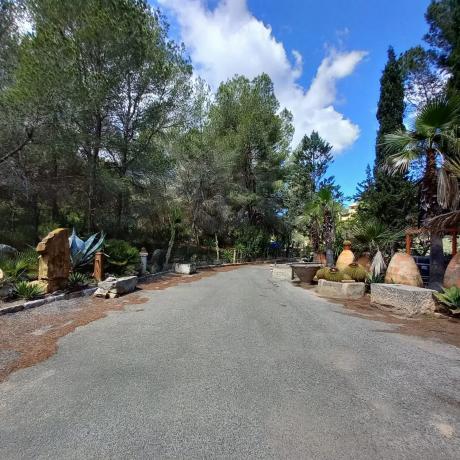 Finca rústica en Diseminado Poligono 16