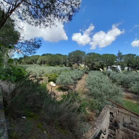 Finca rústica en Diseminado Poligono 16