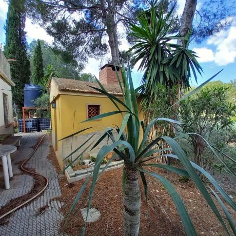 Finca rústica en Diseminado Poligono 16