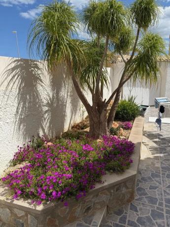 Casa independiente en calle Sorolla, 57