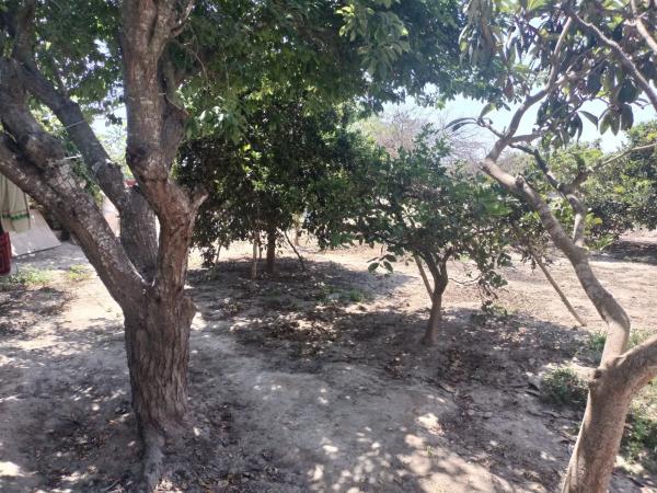 Finca rústica en Partida lo Saavedra, 86