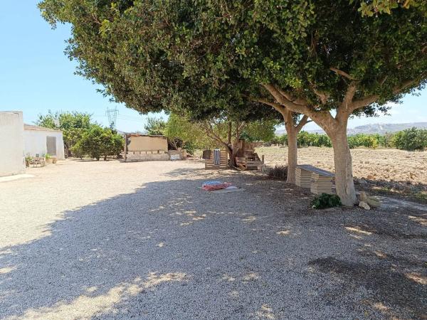 Finca rústica en Partida lo Saavedra, 86