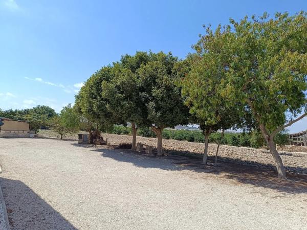Finca rústica en Partida lo Saavedra, 86