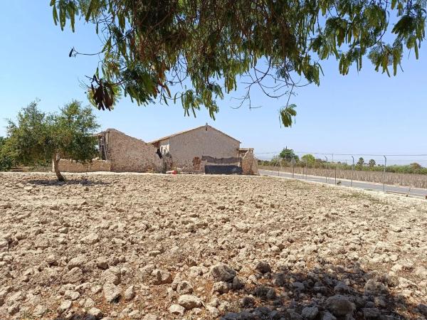 Finca rústica en Partida lo Saavedra, 86