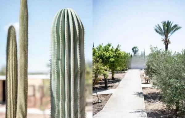 Finca rústica en Partida Torrejon de San Bruno, 185