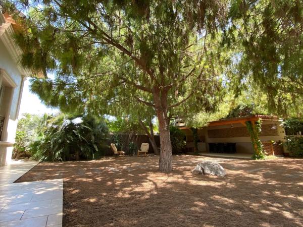 Casa independiente en avenida Antonio Quesada, 54