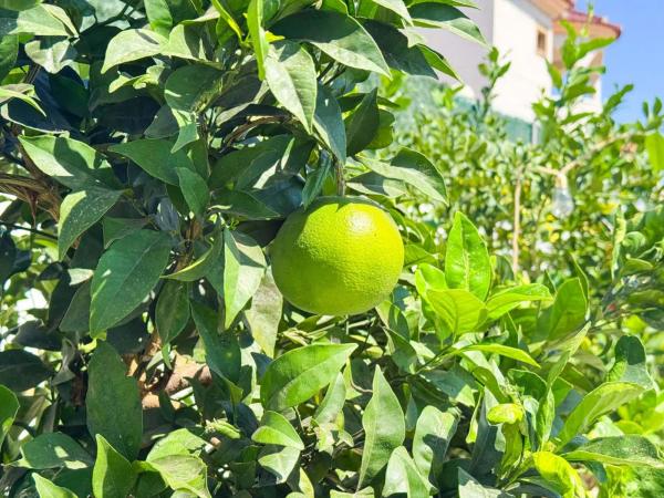 Casa independiente en calle Arcipreste de Hita
