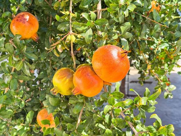 Casa independiente en calle Arcipreste de Hita