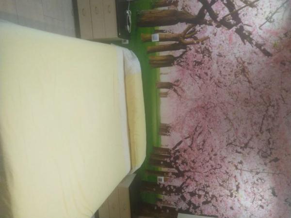 Casa independiente en calle París, 56