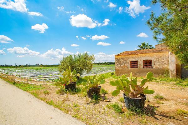 Casa terrera en calle Cardenal Belluga