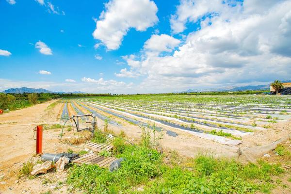 Casa terrera en calle Cardenal Belluga
