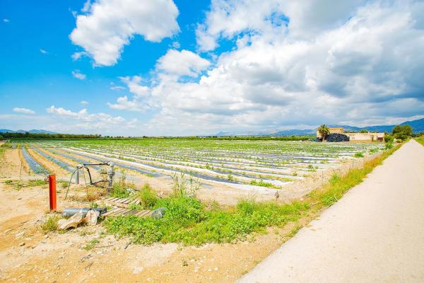 Casa terrera en calle Cardenal Belluga