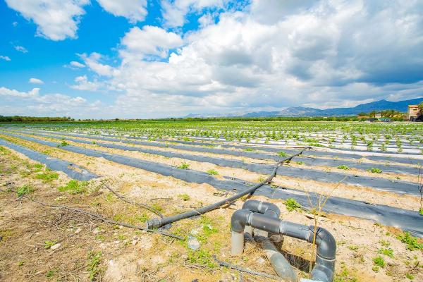 Casa terrera en calle Cardenal Belluga