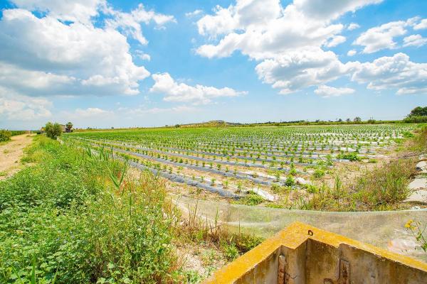 Casa terrera en calle Cardenal Belluga