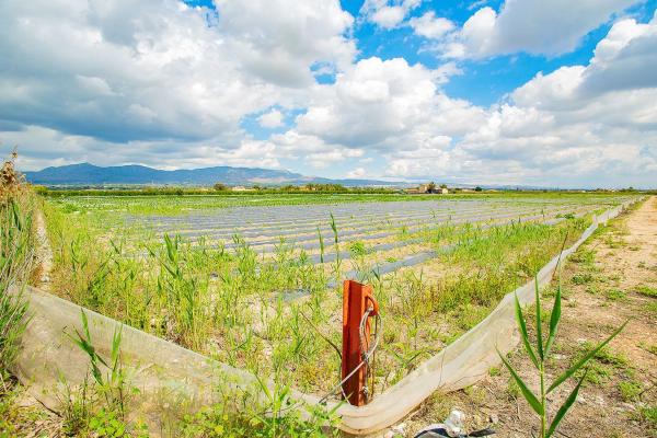 Casa terrera en calle Cardenal Belluga
