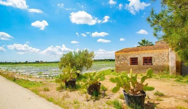 Casa terrera en Partida Saladares, 139