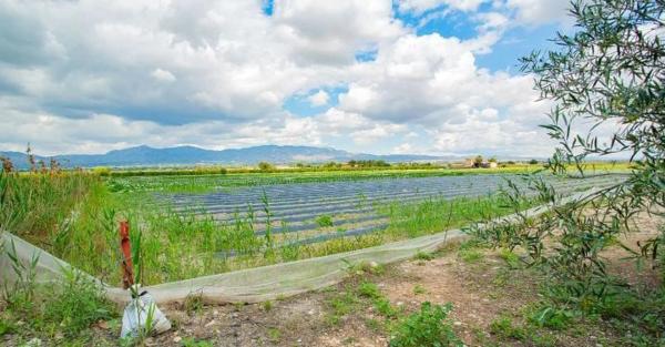 Casa terrera en Partida Saladares, 139