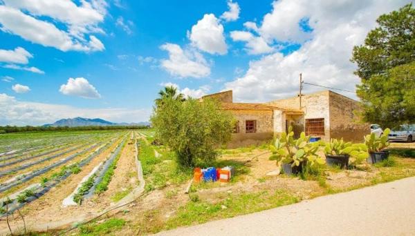 Casa terrera en Partida Saladares, 139