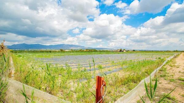 Casa terrera en Partida Saladares, 139