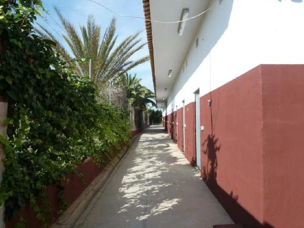 Finca rústica en calle 19 de Abril