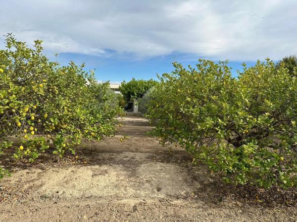 Finca rústica en Lugar 2