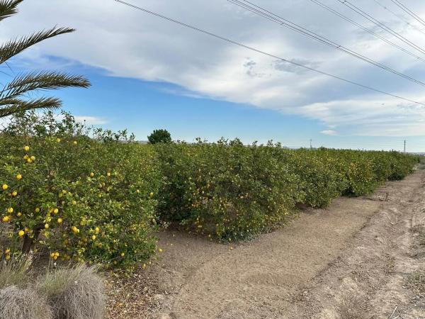 Finca rústica en Lugar 2