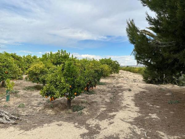 Finca rústica en Lugar 2