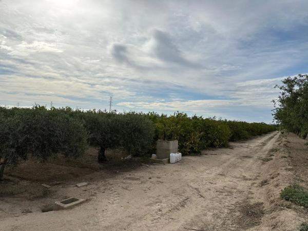 Finca rústica en Lugar 2