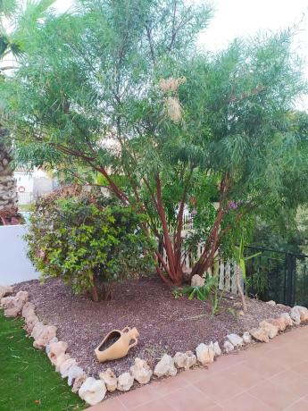 Casa independiente en calle los Marines, 26