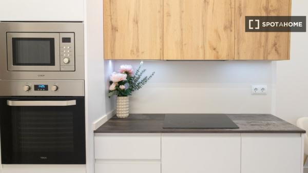 Piso en alquiler de 2 habitaciones en Chopera, Madrid