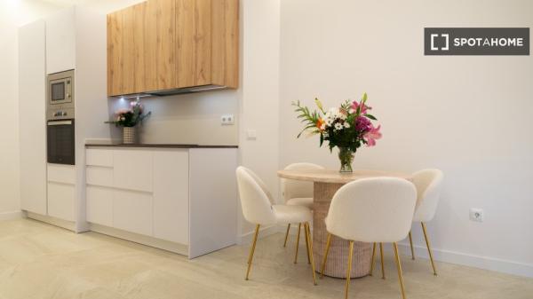 Piso en alquiler de 2 habitaciones en Chopera, Madrid