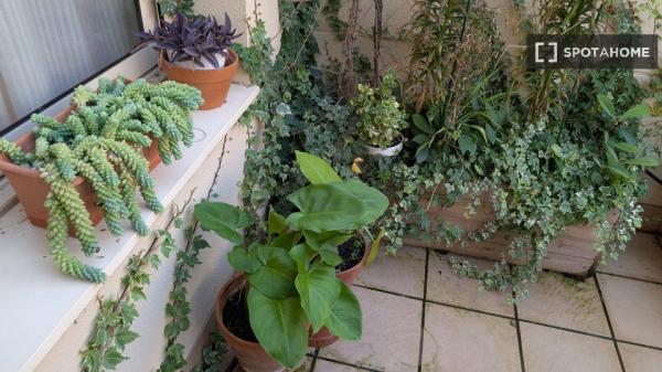 Chambre dans un appartement partagé de 3 chambres à louer à Sabadell