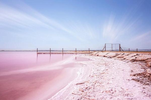 Casa independiente en calle del Pino, 2