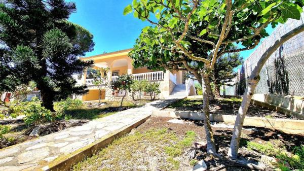 Casa independiente en calle Poniente Bal