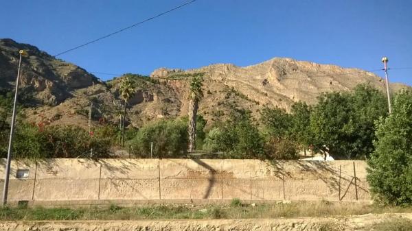 Edificio en Orihuela Ciudad
