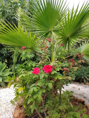 Edificio hotelero en avenida de la Asuncion, 72