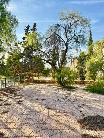 Edificio de uso mixto