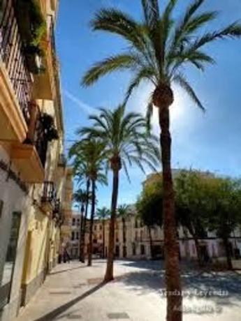 Edificio de uso mixto en Pueblo s/n