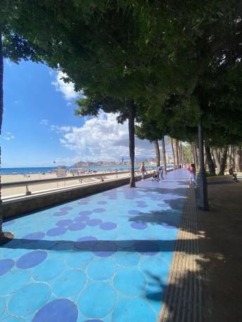 Edificio de uso mixto en avenida Alcoi s/n